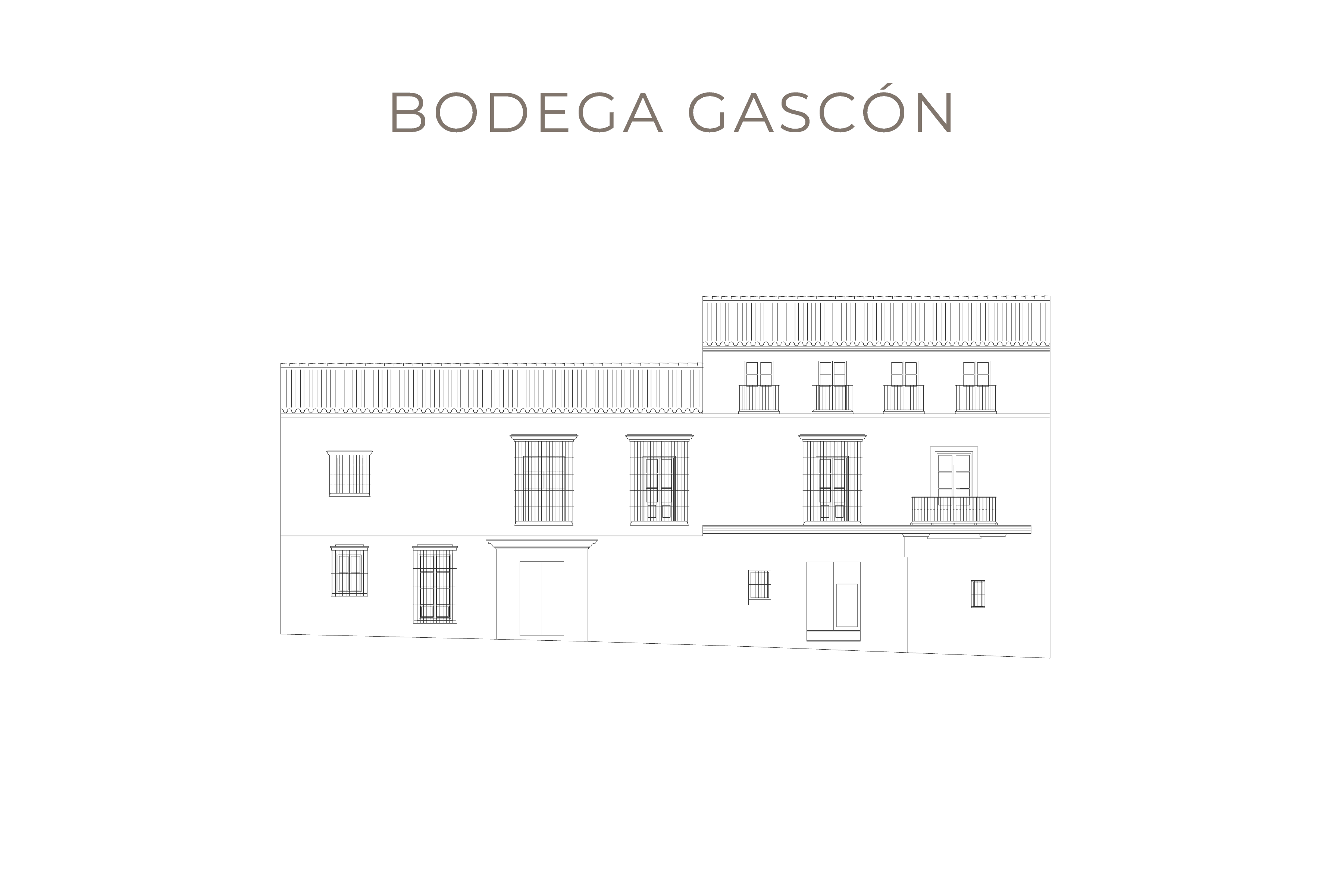 Bodega-Gascón Bodega-Gascón