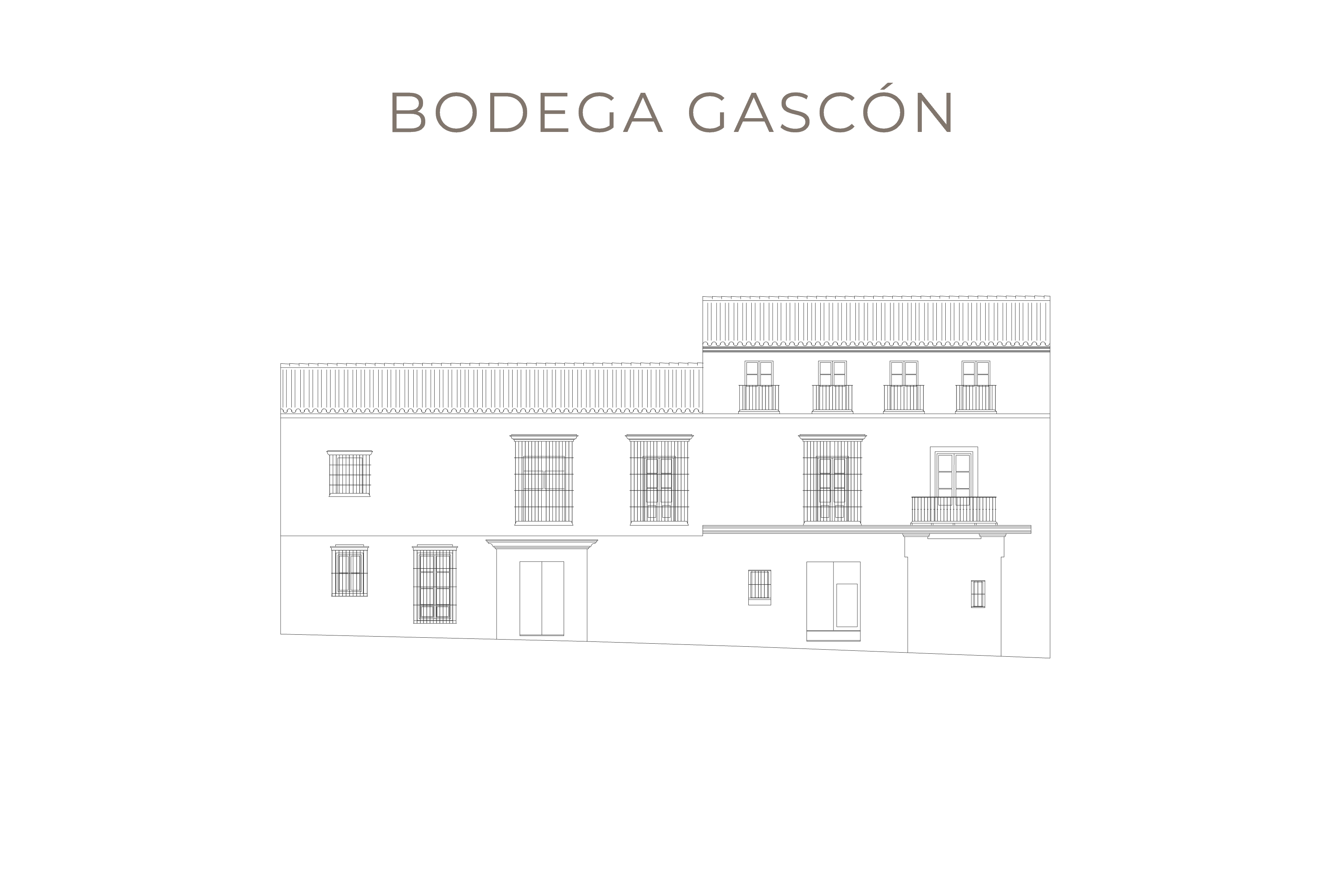 Bodega-Gascón