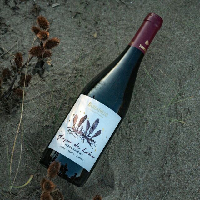 JOPO DE LOBO.😍 Nuestro vino dulce PX lleva el nombre de una planta en peligro de extinción (Cynomorium coccineum) que vive en hábitats salinos de zonas costeras. es una planta perenne que vive en hábitats salinos de zonas costeras. Depende totalmente de otras especies halófilas porque no produce clorofila. Aparece en el Libro Rojo de Flora Amenazada de Andalucía, calificada como "Vulnerable” y está incluida en el Plan de Recuperación de Dunas, Arenales y Acantilados costeros. DE USO MILENARIO, SE LE ATRIBUYEN NUMEROSAS PROPIEDADES CURATIVAS E INCLUSO MÁGICAS.💫
JOPO DE LOBO Our sweet wine, is named after an endangered plant (Cynomorium coccineum) that is found in saline habitats in coastal areas.It is a perennial plant that is found in coastal saline habitats.
It depends entirely on other halophytic species because it does not produce chlorophyll. and is classified as ‘vulnerable’ in the Red Book of Endangered Flora of Andalusia. PLANT OF MILLENARY USE, IT HAS BEEN ATTRIBUTED
SOME HEALING AND EVEN
MAGICAL PROPERTIES. 💫Its collection is banned to avoid its extinction.
#jopodelobo #cynomorium #cynomorium_coccineum #cynomoriumcoccineum #organicwines #vinosecologicos #pedroximenez #jerez