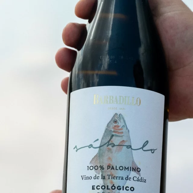 "Floral and full of fruit with textured stone fruits and a saline dry finish. Delicious wine. Serve with summer salads or mixed seafood. From Pinto Wines, D9; Gibney’s Malahide Drinkstore, D7; Parcel Concierge Dunshauglin; Worldwide Wines, Waterford; WineOnline.ie"
This is the taste John wilson in the @irishtimesnews few days ago
Thanks for so nice tasting, @wilson_on_wine !😍
“Floral y lleno de fruta con frutas de hueso texturizadas y un final seco y salino. Vino delicioso. Sirva con ensaladas de verano o mariscos mixtos” La acertada cata de John Wilso en el periódico “The Irish Time”.
#organicwines #palomino #vinodelatierradecadiz #albariza #irishtimes #tindalwines #barbadillo #barbadilloensingular #pintowines #gibneysmalahide #drinkstore.ie #worldwide #waterford #wineonline