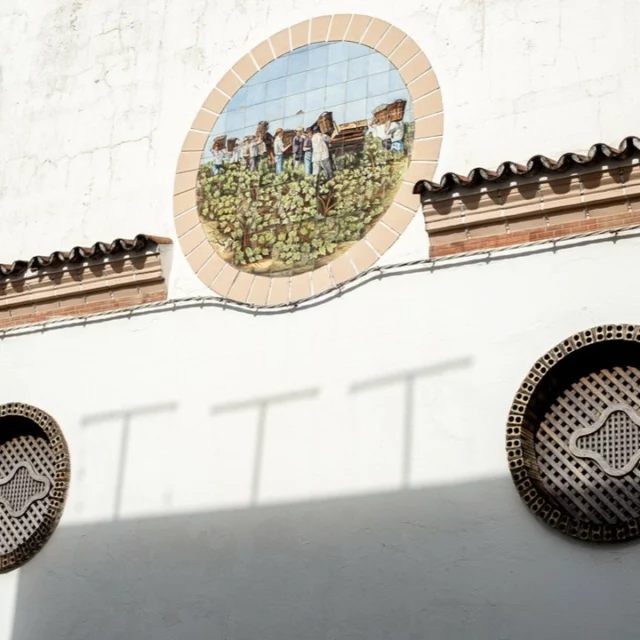 Nuestra zona es la primera en vendimiar en España y para recordarnos lo importante que es la uva palomino y la tierra Albariza en nuestros vinos, estos azulejos no los recuerda todo el año.😍🥂
Our region is one of the first to begin the harvest in Spain, and to remind us of the importance of the Palomino grape and Albariza soil in our wines, these tiles on one of our winery’s façades serve as a year-round reminder😍
#vendimia #vendimia2024 #harvest #grape #palomino #albariza #barbadillo #barbadilloensingular #vinosecologicos #organicwines #marcodejerez #manzanilla #sanlucar